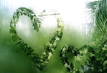 杜塞尔多夫vs汉堡的比分会是多少？深度剖析两队对决的可能性